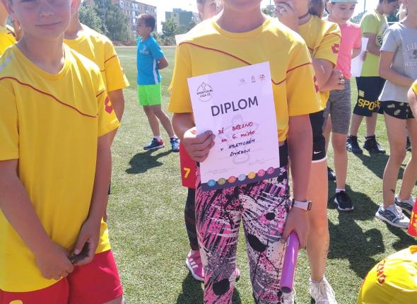 diplom