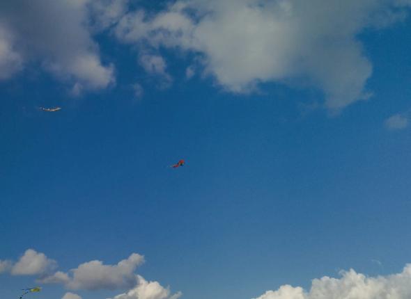 22fb4e22-541a-4913-bcc8-8001b3f24358