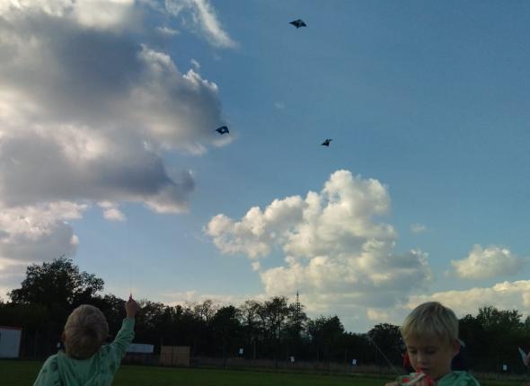 929c51f1-db7b-4d8b-9ba6-f41f985861f3