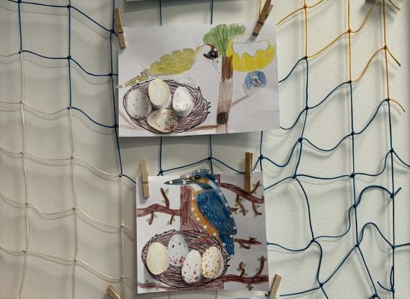 2c44b553-d319-4178-a355-64d05ceed4d6